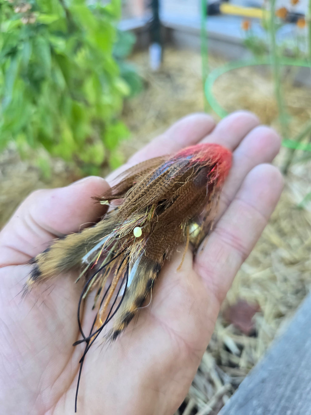 Mini Fleein' Cray