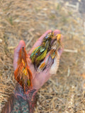 Craw-Changer